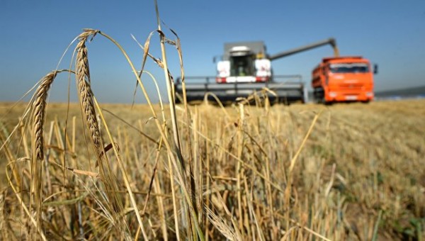 РФ готова увеличить поставки зерна в Японию до пяти миллионов тонн в год