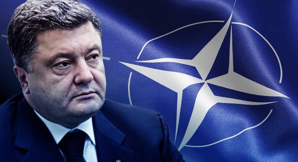 Украинская демократия: Порошенко планирует «управляемый референдум» по НАТО
