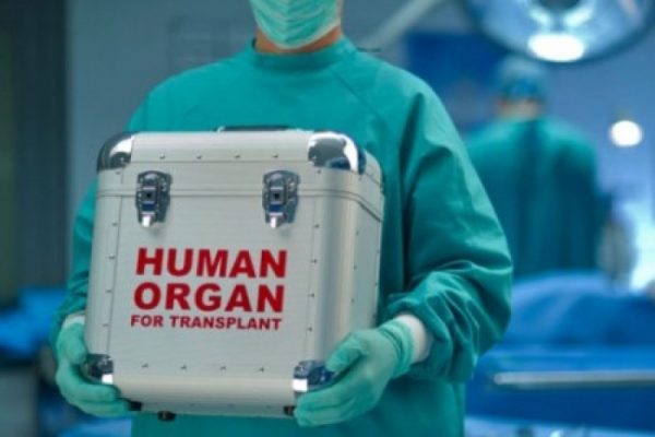 Черная транспланталогия: Европа ждет украинцев. По частям