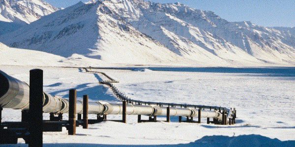 Трамп взял на прицел нефть в заповедной Аляске