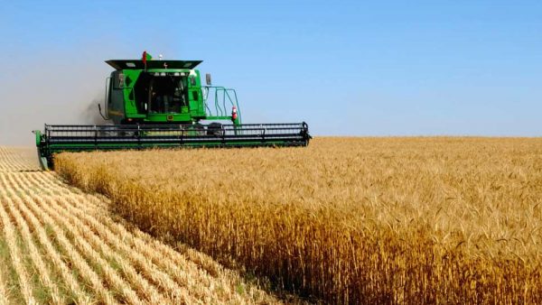 Аграрная «сверхдержава» наращивает поставки сельхозпродукции из России