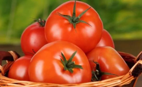 Россия озвучила условия поставки томатов из Турции