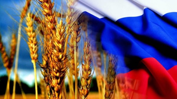 Россия потеснила США на рынке зерна
